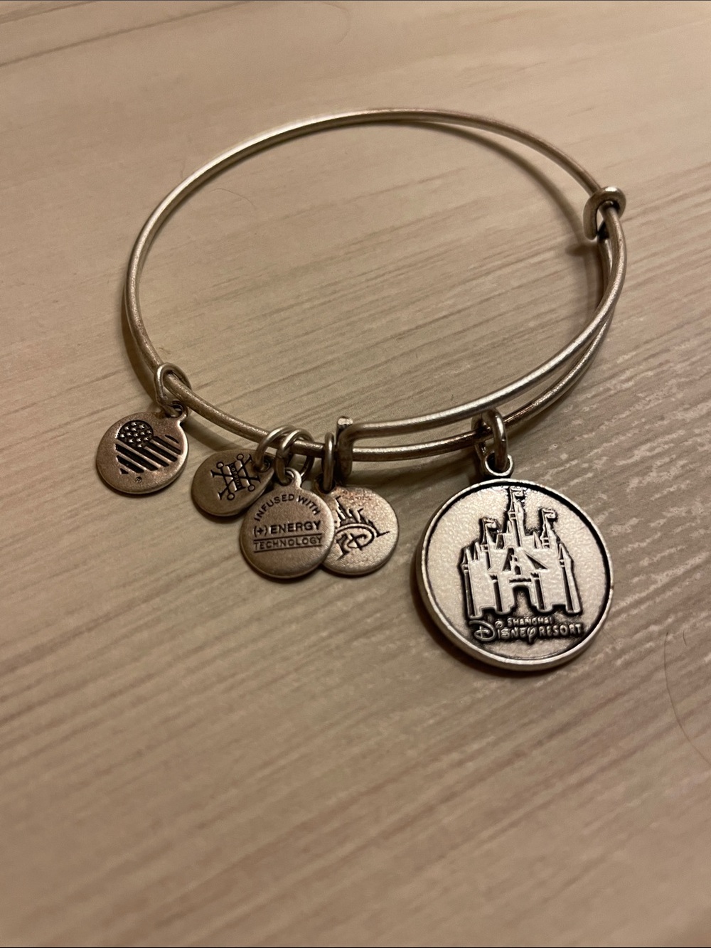 Alex and Ani Silver-Tone Disney Castle Charm Bangle Shanghai